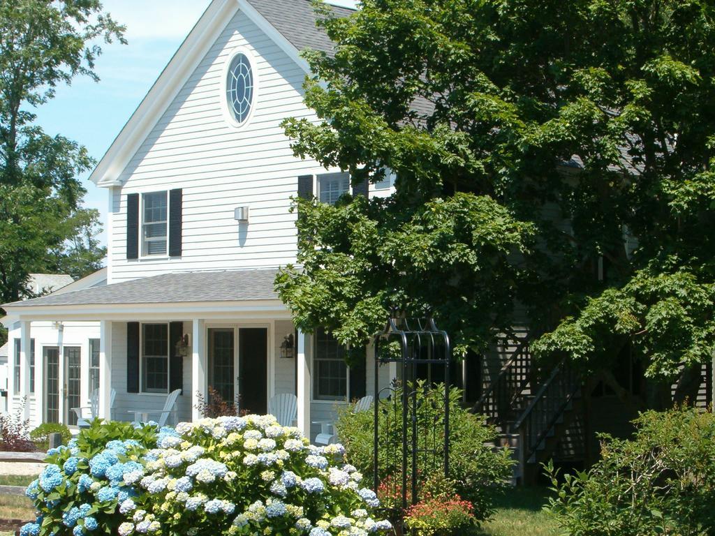 Bed and breakfast The Whalewalk & 3*